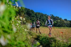 BIB: 
                            <button type="button" onclick="openModal(26580548)" class="btn btn-primary btn-sm float-right btn-popup" data-toggle="modal" data-target=".modal-high-quality">
                        <i class="fas fa-shopping-cart"></i> Add to Cart
                    </button>
                                            <button type="button" onclick="isThisMe(26580548, true)" class="btn btn-success btn-sm float-right btn-popup btn-isme hidden" data-toggle="tooltip" data-placement="bottom" title="นี่คือรูปของคุณใช่ไหม คลิกที่นี่เพื่อเอาเข้าอัลบั้ม">
                        <i class="fas fa-plus"></i> Add to album
                    </button>
                    <button type="button" onclick="isThisMe(26580548, false)" class="btn btn-warning btn-sm float-right btn-popup btn-isnotme hidden">
                        <i class="fas fa-ban"></i> Remove from album
                    </button>