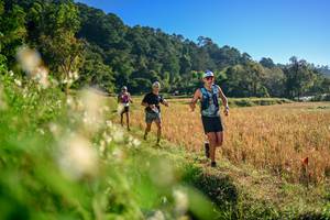 BIB: 
                            <button type="button" onclick="openModal(26570410)" class="btn btn-primary btn-sm float-right btn-popup" data-toggle="modal" data-target=".modal-high-quality">
                        <i class="fas fa-shopping-cart"></i> Add to Cart
                    </button>
                                            <button type="button" onclick="isThisMe(26570410, true)" class="btn btn-success btn-sm float-right btn-popup btn-isme hidden" data-toggle="tooltip" data-placement="bottom" title="นี่คือรูปของคุณใช่ไหม คลิกที่นี่เพื่อเอาเข้าอัลบั้ม">
                        <i class="fas fa-plus"></i> Add to album
                    </button>
                    <button type="button" onclick="isThisMe(26570410, false)" class="btn btn-warning btn-sm float-right btn-popup btn-isnotme hidden">
                        <i class="fas fa-ban"></i> Remove from album
                    </button>