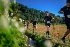 BIB: 
                            <button type="button" onclick="openModal(26575114)" class="btn btn-primary btn-sm float-right btn-popup" data-toggle="modal" data-target=".modal-high-quality">
                        <i class="fas fa-shopping-cart"></i> Add to Cart
                    </button>
                                            <button type="button" onclick="isThisMe(26575114, true)" class="btn btn-success btn-sm float-right btn-popup btn-isme hidden" data-toggle="tooltip" data-placement="bottom" title="นี่คือรูปของคุณใช่ไหม คลิกที่นี่เพื่อเอาเข้าอัลบั้ม">
                        <i class="fas fa-plus"></i> Add to album
                    </button>
                    <button type="button" onclick="isThisMe(26575114, false)" class="btn btn-warning btn-sm float-right btn-popup btn-isnotme hidden">
                        <i class="fas fa-ban"></i> Remove from album
                    </button>