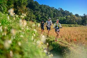 BIB: 
                            <button type="button" onclick="openModal(26570999)" class="btn btn-primary btn-sm float-right btn-popup" data-toggle="modal" data-target=".modal-high-quality">
                        <i class="fas fa-shopping-cart"></i> Add to Cart
                    </button>
                                            <button type="button" onclick="isThisMe(26570999, true)" class="btn btn-success btn-sm float-right btn-popup btn-isme hidden" data-toggle="tooltip" data-placement="bottom" title="นี่คือรูปของคุณใช่ไหม คลิกที่นี่เพื่อเอาเข้าอัลบั้ม">
                        <i class="fas fa-plus"></i> Add to album
                    </button>
                    <button type="button" onclick="isThisMe(26570999, false)" class="btn btn-warning btn-sm float-right btn-popup btn-isnotme hidden">
                        <i class="fas fa-ban"></i> Remove from album
                    </button>