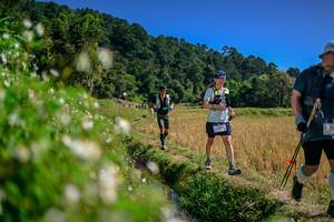 BIB: 
                            <button type="button" onclick="openModal(26582689)" class="btn btn-primary btn-sm float-right btn-popup" data-toggle="modal" data-target=".modal-high-quality">
                        <i class="fas fa-shopping-cart"></i> Add to Cart
                    </button>
                                            <button type="button" onclick="isThisMe(26582689, true)" class="btn btn-success btn-sm float-right btn-popup btn-isme hidden" data-toggle="tooltip" data-placement="bottom" title="นี่คือรูปของคุณใช่ไหม คลิกที่นี่เพื่อเอาเข้าอัลบั้ม">
                        <i class="fas fa-plus"></i> Add to album
                    </button>
                    <button type="button" onclick="isThisMe(26582689, false)" class="btn btn-warning btn-sm float-right btn-popup btn-isnotme hidden">
                        <i class="fas fa-ban"></i> Remove from album
                    </button>