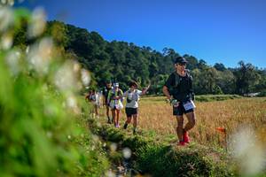 BIB: 
                            <button type="button" onclick="openModal(26572066)" class="btn btn-primary btn-sm float-right btn-popup" data-toggle="modal" data-target=".modal-high-quality">
                        <i class="fas fa-shopping-cart"></i> Add to Cart
                    </button>
                                            <button type="button" onclick="isThisMe(26572066, true)" class="btn btn-success btn-sm float-right btn-popup btn-isme hidden" data-toggle="tooltip" data-placement="bottom" title="นี่คือรูปของคุณใช่ไหม คลิกที่นี่เพื่อเอาเข้าอัลบั้ม">
                        <i class="fas fa-plus"></i> Add to album
                    </button>
                    <button type="button" onclick="isThisMe(26572066, false)" class="btn btn-warning btn-sm float-right btn-popup btn-isnotme hidden">
                        <i class="fas fa-ban"></i> Remove from album
                    </button>