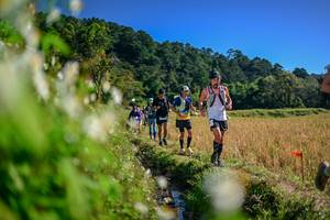 BIB: 
                            <button type="button" onclick="openModal(26573315)" class="btn btn-primary btn-sm float-right btn-popup" data-toggle="modal" data-target=".modal-high-quality">
                        <i class="fas fa-shopping-cart"></i> Add to Cart
                    </button>
                                            <button type="button" onclick="isThisMe(26573315, true)" class="btn btn-success btn-sm float-right btn-popup btn-isme hidden" data-toggle="tooltip" data-placement="bottom" title="นี่คือรูปของคุณใช่ไหม คลิกที่นี่เพื่อเอาเข้าอัลบั้ม">
                        <i class="fas fa-plus"></i> Add to album
                    </button>
                    <button type="button" onclick="isThisMe(26573315, false)" class="btn btn-warning btn-sm float-right btn-popup btn-isnotme hidden">
                        <i class="fas fa-ban"></i> Remove from album
                    </button>