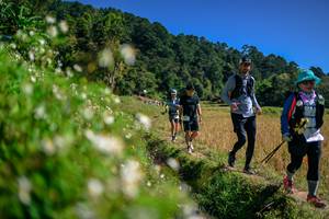 BIB: 
                            <button type="button" onclick="openModal(26583198)" class="btn btn-primary btn-sm float-right btn-popup" data-toggle="modal" data-target=".modal-high-quality">
                        <i class="fas fa-shopping-cart"></i> Add to Cart
                    </button>
                                            <button type="button" onclick="isThisMe(26583198, true)" class="btn btn-success btn-sm float-right btn-popup btn-isme hidden" data-toggle="tooltip" data-placement="bottom" title="นี่คือรูปของคุณใช่ไหม คลิกที่นี่เพื่อเอาเข้าอัลบั้ม">
                        <i class="fas fa-plus"></i> Add to album
                    </button>
                    <button type="button" onclick="isThisMe(26583198, false)" class="btn btn-warning btn-sm float-right btn-popup btn-isnotme hidden">
                        <i class="fas fa-ban"></i> Remove from album
                    </button>