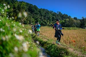 BIB: 
                            <button type="button" onclick="openModal(26582594)" class="btn btn-primary btn-sm float-right btn-popup" data-toggle="modal" data-target=".modal-high-quality">
                        <i class="fas fa-shopping-cart"></i> Add to Cart
                    </button>
                                            <button type="button" onclick="isThisMe(26582594, true)" class="btn btn-success btn-sm float-right btn-popup btn-isme hidden" data-toggle="tooltip" data-placement="bottom" title="นี่คือรูปของคุณใช่ไหม คลิกที่นี่เพื่อเอาเข้าอัลบั้ม">
                        <i class="fas fa-plus"></i> Add to album
                    </button>
                    <button type="button" onclick="isThisMe(26582594, false)" class="btn btn-warning btn-sm float-right btn-popup btn-isnotme hidden">
                        <i class="fas fa-ban"></i> Remove from album
                    </button>