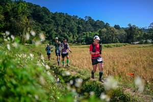 BIB: 
                            <button type="button" onclick="openModal(26575768)" class="btn btn-primary btn-sm float-right btn-popup" data-toggle="modal" data-target=".modal-high-quality">
                        <i class="fas fa-shopping-cart"></i> Add to Cart
                    </button>
                                            <button type="button" onclick="isThisMe(26575768, true)" class="btn btn-success btn-sm float-right btn-popup btn-isme hidden" data-toggle="tooltip" data-placement="bottom" title="นี่คือรูปของคุณใช่ไหม คลิกที่นี่เพื่อเอาเข้าอัลบั้ม">
                        <i class="fas fa-plus"></i> Add to album
                    </button>
                    <button type="button" onclick="isThisMe(26575768, false)" class="btn btn-warning btn-sm float-right btn-popup btn-isnotme hidden">
                        <i class="fas fa-ban"></i> Remove from album
                    </button>