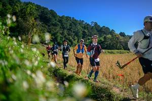 BIB: 
                            <button type="button" onclick="openModal(26576079)" class="btn btn-primary btn-sm float-right btn-popup" data-toggle="modal" data-target=".modal-high-quality">
                        <i class="fas fa-shopping-cart"></i> Add to Cart
                    </button>
                                            <button type="button" onclick="isThisMe(26576079, true)" class="btn btn-success btn-sm float-right btn-popup btn-isme hidden" data-toggle="tooltip" data-placement="bottom" title="นี่คือรูปของคุณใช่ไหม คลิกที่นี่เพื่อเอาเข้าอัลบั้ม">
                        <i class="fas fa-plus"></i> Add to album
                    </button>
                    <button type="button" onclick="isThisMe(26576079, false)" class="btn btn-warning btn-sm float-right btn-popup btn-isnotme hidden">
                        <i class="fas fa-ban"></i> Remove from album
                    </button>