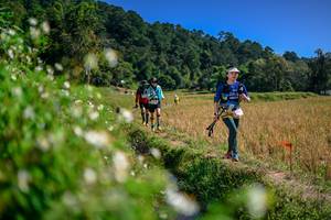 BIB: 
                            <button type="button" onclick="openModal(26582488)" class="btn btn-primary btn-sm float-right btn-popup" data-toggle="modal" data-target=".modal-high-quality">
                        <i class="fas fa-shopping-cart"></i> Add to Cart
                    </button>
                                            <button type="button" onclick="isThisMe(26582488, true)" class="btn btn-success btn-sm float-right btn-popup btn-isme hidden" data-toggle="tooltip" data-placement="bottom" title="นี่คือรูปของคุณใช่ไหม คลิกที่นี่เพื่อเอาเข้าอัลบั้ม">
                        <i class="fas fa-plus"></i> Add to album
                    </button>
                    <button type="button" onclick="isThisMe(26582488, false)" class="btn btn-warning btn-sm float-right btn-popup btn-isnotme hidden">
                        <i class="fas fa-ban"></i> Remove from album
                    </button>