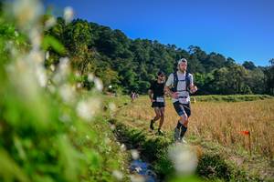 BIB: 
                            <button type="button" onclick="openModal(26573197)" class="btn btn-primary btn-sm float-right btn-popup" data-toggle="modal" data-target=".modal-high-quality">
                        <i class="fas fa-shopping-cart"></i> Add to Cart
                    </button>
                                            <button type="button" onclick="isThisMe(26573197, true)" class="btn btn-success btn-sm float-right btn-popup btn-isme hidden" data-toggle="tooltip" data-placement="bottom" title="นี่คือรูปของคุณใช่ไหม คลิกที่นี่เพื่อเอาเข้าอัลบั้ม">
                        <i class="fas fa-plus"></i> Add to album
                    </button>
                    <button type="button" onclick="isThisMe(26573197, false)" class="btn btn-warning btn-sm float-right btn-popup btn-isnotme hidden">
                        <i class="fas fa-ban"></i> Remove from album
                    </button>