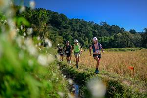 BIB: 
                            <button type="button" onclick="openModal(26574016)" class="btn btn-primary btn-sm float-right btn-popup" data-toggle="modal" data-target=".modal-high-quality">
                        <i class="fas fa-shopping-cart"></i> Add to Cart
                    </button>
                                            <button type="button" onclick="isThisMe(26574016, true)" class="btn btn-success btn-sm float-right btn-popup btn-isme hidden" data-toggle="tooltip" data-placement="bottom" title="นี่คือรูปของคุณใช่ไหม คลิกที่นี่เพื่อเอาเข้าอัลบั้ม">
                        <i class="fas fa-plus"></i> Add to album
                    </button>
                    <button type="button" onclick="isThisMe(26574016, false)" class="btn btn-warning btn-sm float-right btn-popup btn-isnotme hidden">
                        <i class="fas fa-ban"></i> Remove from album
                    </button>