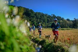 BIB: 
                            <button type="button" onclick="openModal(26572120)" class="btn btn-primary btn-sm float-right btn-popup" data-toggle="modal" data-target=".modal-high-quality">
                        <i class="fas fa-shopping-cart"></i> Add to Cart
                    </button>
                                            <button type="button" onclick="isThisMe(26572120, true)" class="btn btn-success btn-sm float-right btn-popup btn-isme hidden" data-toggle="tooltip" data-placement="bottom" title="นี่คือรูปของคุณใช่ไหม คลิกที่นี่เพื่อเอาเข้าอัลบั้ม">
                        <i class="fas fa-plus"></i> Add to album
                    </button>
                    <button type="button" onclick="isThisMe(26572120, false)" class="btn btn-warning btn-sm float-right btn-popup btn-isnotme hidden">
                        <i class="fas fa-ban"></i> Remove from album
                    </button>