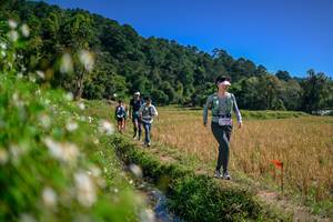 BIB: 
                            <button type="button" onclick="openModal(26582621)" class="btn btn-primary btn-sm float-right btn-popup" data-toggle="modal" data-target=".modal-high-quality">
                        <i class="fas fa-shopping-cart"></i> Add to Cart
                    </button>
                                            <button type="button" onclick="isThisMe(26582621, true)" class="btn btn-success btn-sm float-right btn-popup btn-isme hidden" data-toggle="tooltip" data-placement="bottom" title="นี่คือรูปของคุณใช่ไหม คลิกที่นี่เพื่อเอาเข้าอัลบั้ม">
                        <i class="fas fa-plus"></i> Add to album
                    </button>
                    <button type="button" onclick="isThisMe(26582621, false)" class="btn btn-warning btn-sm float-right btn-popup btn-isnotme hidden">
                        <i class="fas fa-ban"></i> Remove from album
                    </button>