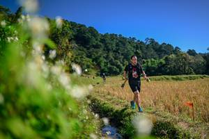 BIB: 
                            <button type="button" onclick="openModal(26574440)" class="btn btn-primary btn-sm float-right btn-popup" data-toggle="modal" data-target=".modal-high-quality">
                        <i class="fas fa-shopping-cart"></i> Add to Cart
                    </button>
                                            <button type="button" onclick="isThisMe(26574440, true)" class="btn btn-success btn-sm float-right btn-popup btn-isme hidden" data-toggle="tooltip" data-placement="bottom" title="นี่คือรูปของคุณใช่ไหม คลิกที่นี่เพื่อเอาเข้าอัลบั้ม">
                        <i class="fas fa-plus"></i> Add to album
                    </button>
                    <button type="button" onclick="isThisMe(26574440, false)" class="btn btn-warning btn-sm float-right btn-popup btn-isnotme hidden">
                        <i class="fas fa-ban"></i> Remove from album
                    </button>