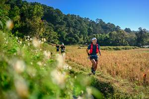 BIB: 
                            <button type="button" onclick="openModal(26570519)" class="btn btn-primary btn-sm float-right btn-popup" data-toggle="modal" data-target=".modal-high-quality">
                        <i class="fas fa-shopping-cart"></i> Add to Cart
                    </button>
                                            <button type="button" onclick="isThisMe(26570519, true)" class="btn btn-success btn-sm float-right btn-popup btn-isme hidden" data-toggle="tooltip" data-placement="bottom" title="นี่คือรูปของคุณใช่ไหม คลิกที่นี่เพื่อเอาเข้าอัลบั้ม">
                        <i class="fas fa-plus"></i> Add to album
                    </button>
                    <button type="button" onclick="isThisMe(26570519, false)" class="btn btn-warning btn-sm float-right btn-popup btn-isnotme hidden">
                        <i class="fas fa-ban"></i> Remove from album
                    </button>