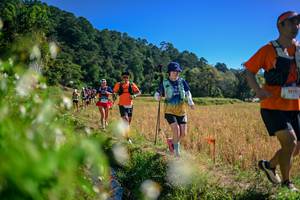 BIB: 
                            <button type="button" onclick="openModal(26579594)" class="btn btn-primary btn-sm float-right btn-popup" data-toggle="modal" data-target=".modal-high-quality">
                        <i class="fas fa-shopping-cart"></i> Add to Cart
                    </button>
                                            <button type="button" onclick="isThisMe(26579594, true)" class="btn btn-success btn-sm float-right btn-popup btn-isme hidden" data-toggle="tooltip" data-placement="bottom" title="นี่คือรูปของคุณใช่ไหม คลิกที่นี่เพื่อเอาเข้าอัลบั้ม">
                        <i class="fas fa-plus"></i> Add to album
                    </button>
                    <button type="button" onclick="isThisMe(26579594, false)" class="btn btn-warning btn-sm float-right btn-popup btn-isnotme hidden">
                        <i class="fas fa-ban"></i> Remove from album
                    </button>