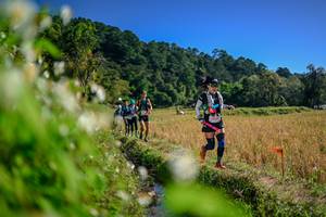 BIB: 
                            <button type="button" onclick="openModal(26574813)" class="btn btn-primary btn-sm float-right btn-popup" data-toggle="modal" data-target=".modal-high-quality">
                        <i class="fas fa-shopping-cart"></i> Add to Cart
                    </button>
                                            <button type="button" onclick="isThisMe(26574813, true)" class="btn btn-success btn-sm float-right btn-popup btn-isme hidden" data-toggle="tooltip" data-placement="bottom" title="นี่คือรูปของคุณใช่ไหม คลิกที่นี่เพื่อเอาเข้าอัลบั้ม">
                        <i class="fas fa-plus"></i> Add to album
                    </button>
                    <button type="button" onclick="isThisMe(26574813, false)" class="btn btn-warning btn-sm float-right btn-popup btn-isnotme hidden">
                        <i class="fas fa-ban"></i> Remove from album
                    </button>