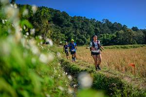 BIB: 
                            <button type="button" onclick="openModal(26574773)" class="btn btn-primary btn-sm float-right btn-popup" data-toggle="modal" data-target=".modal-high-quality">
                        <i class="fas fa-shopping-cart"></i> Add to Cart
                    </button>
                                            <button type="button" onclick="isThisMe(26574773, true)" class="btn btn-success btn-sm float-right btn-popup btn-isme hidden" data-toggle="tooltip" data-placement="bottom" title="นี่คือรูปของคุณใช่ไหม คลิกที่นี่เพื่อเอาเข้าอัลบั้ม">
                        <i class="fas fa-plus"></i> Add to album
                    </button>
                    <button type="button" onclick="isThisMe(26574773, false)" class="btn btn-warning btn-sm float-right btn-popup btn-isnotme hidden">
                        <i class="fas fa-ban"></i> Remove from album
                    </button>