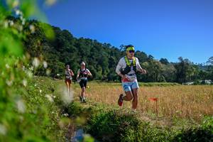 BIB: 
                            <button type="button" onclick="openModal(26579881)" class="btn btn-primary btn-sm float-right btn-popup" data-toggle="modal" data-target=".modal-high-quality">
                        <i class="fas fa-shopping-cart"></i> Add to Cart
                    </button>
                                            <button type="button" onclick="isThisMe(26579881, true)" class="btn btn-success btn-sm float-right btn-popup btn-isme hidden" data-toggle="tooltip" data-placement="bottom" title="นี่คือรูปของคุณใช่ไหม คลิกที่นี่เพื่อเอาเข้าอัลบั้ม">
                        <i class="fas fa-plus"></i> Add to album
                    </button>
                    <button type="button" onclick="isThisMe(26579881, false)" class="btn btn-warning btn-sm float-right btn-popup btn-isnotme hidden">
                        <i class="fas fa-ban"></i> Remove from album
                    </button>