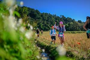 BIB: 
                            <button type="button" onclick="openModal(26572590)" class="btn btn-primary btn-sm float-right btn-popup" data-toggle="modal" data-target=".modal-high-quality">
                        <i class="fas fa-shopping-cart"></i> Add to Cart
                    </button>
                                            <button type="button" onclick="isThisMe(26572590, true)" class="btn btn-success btn-sm float-right btn-popup btn-isme hidden" data-toggle="tooltip" data-placement="bottom" title="นี่คือรูปของคุณใช่ไหม คลิกที่นี่เพื่อเอาเข้าอัลบั้ม">
                        <i class="fas fa-plus"></i> Add to album
                    </button>
                    <button type="button" onclick="isThisMe(26572590, false)" class="btn btn-warning btn-sm float-right btn-popup btn-isnotme hidden">
                        <i class="fas fa-ban"></i> Remove from album
                    </button>