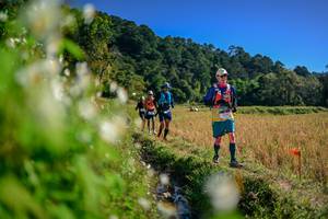 BIB: 
                            <button type="button" onclick="openModal(26572830)" class="btn btn-primary btn-sm float-right btn-popup" data-toggle="modal" data-target=".modal-high-quality">
                        <i class="fas fa-shopping-cart"></i> Add to Cart
                    </button>
                                            <button type="button" onclick="isThisMe(26572830, true)" class="btn btn-success btn-sm float-right btn-popup btn-isme hidden" data-toggle="tooltip" data-placement="bottom" title="นี่คือรูปของคุณใช่ไหม คลิกที่นี่เพื่อเอาเข้าอัลบั้ม">
                        <i class="fas fa-plus"></i> Add to album
                    </button>
                    <button type="button" onclick="isThisMe(26572830, false)" class="btn btn-warning btn-sm float-right btn-popup btn-isnotme hidden">
                        <i class="fas fa-ban"></i> Remove from album
                    </button>