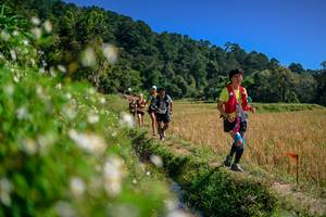 BIB: 
                            <button type="button" onclick="openModal(26583076)" class="btn btn-primary btn-sm float-right btn-popup" data-toggle="modal" data-target=".modal-high-quality">
                        <i class="fas fa-shopping-cart"></i> Add to Cart
                    </button>
                                            <button type="button" onclick="isThisMe(26583076, true)" class="btn btn-success btn-sm float-right btn-popup btn-isme hidden" data-toggle="tooltip" data-placement="bottom" title="นี่คือรูปของคุณใช่ไหม คลิกที่นี่เพื่อเอาเข้าอัลบั้ม">
                        <i class="fas fa-plus"></i> Add to album
                    </button>
                    <button type="button" onclick="isThisMe(26583076, false)" class="btn btn-warning btn-sm float-right btn-popup btn-isnotme hidden">
                        <i class="fas fa-ban"></i> Remove from album
                    </button>