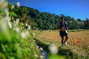 BIB: 
                            <button type="button" onclick="openModal(26573622)" class="btn btn-primary btn-sm float-right btn-popup" data-toggle="modal" data-target=".modal-high-quality">
                        <i class="fas fa-shopping-cart"></i> Add to Cart
                    </button>
                                            <button type="button" onclick="isThisMe(26573622, true)" class="btn btn-success btn-sm float-right btn-popup btn-isme hidden" data-toggle="tooltip" data-placement="bottom" title="นี่คือรูปของคุณใช่ไหม คลิกที่นี่เพื่อเอาเข้าอัลบั้ม">
                        <i class="fas fa-plus"></i> Add to album
                    </button>
                    <button type="button" onclick="isThisMe(26573622, false)" class="btn btn-warning btn-sm float-right btn-popup btn-isnotme hidden">
                        <i class="fas fa-ban"></i> Remove from album
                    </button>