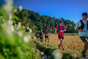 BIB: 
                            <button type="button" onclick="openModal(26572659)" class="btn btn-primary btn-sm float-right btn-popup" data-toggle="modal" data-target=".modal-high-quality">
                        <i class="fas fa-shopping-cart"></i> Add to Cart
                    </button>
                                            <button type="button" onclick="isThisMe(26572659, true)" class="btn btn-success btn-sm float-right btn-popup btn-isme hidden" data-toggle="tooltip" data-placement="bottom" title="นี่คือรูปของคุณใช่ไหม คลิกที่นี่เพื่อเอาเข้าอัลบั้ม">
                        <i class="fas fa-plus"></i> Add to album
                    </button>
                    <button type="button" onclick="isThisMe(26572659, false)" class="btn btn-warning btn-sm float-right btn-popup btn-isnotme hidden">
                        <i class="fas fa-ban"></i> Remove from album
                    </button>