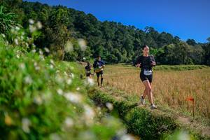 BIB: 
                            <button type="button" onclick="openModal(26582132)" class="btn btn-primary btn-sm float-right btn-popup" data-toggle="modal" data-target=".modal-high-quality">
                        <i class="fas fa-shopping-cart"></i> Add to Cart
                    </button>
                                            <button type="button" onclick="isThisMe(26582132, true)" class="btn btn-success btn-sm float-right btn-popup btn-isme hidden" data-toggle="tooltip" data-placement="bottom" title="นี่คือรูปของคุณใช่ไหม คลิกที่นี่เพื่อเอาเข้าอัลบั้ม">
                        <i class="fas fa-plus"></i> Add to album
                    </button>
                    <button type="button" onclick="isThisMe(26582132, false)" class="btn btn-warning btn-sm float-right btn-popup btn-isnotme hidden">
                        <i class="fas fa-ban"></i> Remove from album
                    </button>