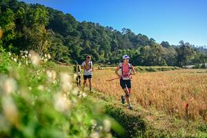 BIB: 
                            <button type="button" onclick="openModal(26570582)" class="btn btn-primary btn-sm float-right btn-popup" data-toggle="modal" data-target=".modal-high-quality">
                        <i class="fas fa-shopping-cart"></i> Add to Cart
                    </button>
                                            <button type="button" onclick="isThisMe(26570582, true)" class="btn btn-success btn-sm float-right btn-popup btn-isme hidden" data-toggle="tooltip" data-placement="bottom" title="นี่คือรูปของคุณใช่ไหม คลิกที่นี่เพื่อเอาเข้าอัลบั้ม">
                        <i class="fas fa-plus"></i> Add to album
                    </button>
                    <button type="button" onclick="isThisMe(26570582, false)" class="btn btn-warning btn-sm float-right btn-popup btn-isnotme hidden">
                        <i class="fas fa-ban"></i> Remove from album
                    </button>