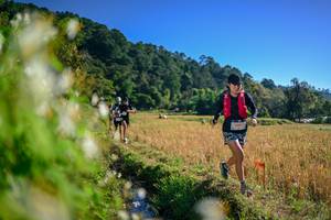 BIB: 
                            <button type="button" onclick="openModal(26571599)" class="btn btn-primary btn-sm float-right btn-popup" data-toggle="modal" data-target=".modal-high-quality">
                        <i class="fas fa-shopping-cart"></i> Add to Cart
                    </button>
                                            <button type="button" onclick="isThisMe(26571599, true)" class="btn btn-success btn-sm float-right btn-popup btn-isme hidden" data-toggle="tooltip" data-placement="bottom" title="นี่คือรูปของคุณใช่ไหม คลิกที่นี่เพื่อเอาเข้าอัลบั้ม">
                        <i class="fas fa-plus"></i> Add to album
                    </button>
                    <button type="button" onclick="isThisMe(26571599, false)" class="btn btn-warning btn-sm float-right btn-popup btn-isnotme hidden">
                        <i class="fas fa-ban"></i> Remove from album
                    </button>