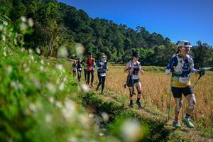 BIB: 
                            <button type="button" onclick="openModal(26576314)" class="btn btn-primary btn-sm float-right btn-popup" data-toggle="modal" data-target=".modal-high-quality">
                        <i class="fas fa-shopping-cart"></i> Add to Cart
                    </button>
                                            <button type="button" onclick="isThisMe(26576314, true)" class="btn btn-success btn-sm float-right btn-popup btn-isme hidden" data-toggle="tooltip" data-placement="bottom" title="นี่คือรูปของคุณใช่ไหม คลิกที่นี่เพื่อเอาเข้าอัลบั้ม">
                        <i class="fas fa-plus"></i> Add to album
                    </button>
                    <button type="button" onclick="isThisMe(26576314, false)" class="btn btn-warning btn-sm float-right btn-popup btn-isnotme hidden">
                        <i class="fas fa-ban"></i> Remove from album
                    </button>