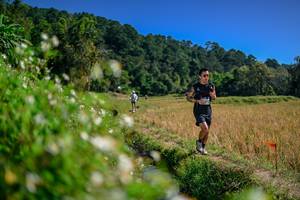 BIB: 
                            <button type="button" onclick="openModal(26581941)" class="btn btn-primary btn-sm float-right btn-popup" data-toggle="modal" data-target=".modal-high-quality">
                        <i class="fas fa-shopping-cart"></i> Add to Cart
                    </button>
                                            <button type="button" onclick="isThisMe(26581941, true)" class="btn btn-success btn-sm float-right btn-popup btn-isme hidden" data-toggle="tooltip" data-placement="bottom" title="นี่คือรูปของคุณใช่ไหม คลิกที่นี่เพื่อเอาเข้าอัลบั้ม">
                        <i class="fas fa-plus"></i> Add to album
                    </button>
                    <button type="button" onclick="isThisMe(26581941, false)" class="btn btn-warning btn-sm float-right btn-popup btn-isnotme hidden">
                        <i class="fas fa-ban"></i> Remove from album
                    </button>