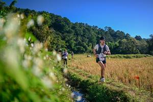 BIB: 
                            <button type="button" onclick="openModal(26571516)" class="btn btn-primary btn-sm float-right btn-popup" data-toggle="modal" data-target=".modal-high-quality">
                        <i class="fas fa-shopping-cart"></i> Add to Cart
                    </button>
                                            <button type="button" onclick="isThisMe(26571516, true)" class="btn btn-success btn-sm float-right btn-popup btn-isme hidden" data-toggle="tooltip" data-placement="bottom" title="นี่คือรูปของคุณใช่ไหม คลิกที่นี่เพื่อเอาเข้าอัลบั้ม">
                        <i class="fas fa-plus"></i> Add to album
                    </button>
                    <button type="button" onclick="isThisMe(26571516, false)" class="btn btn-warning btn-sm float-right btn-popup btn-isnotme hidden">
                        <i class="fas fa-ban"></i> Remove from album
                    </button>