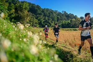 BIB: 
                            <button type="button" onclick="openModal(26570681)" class="btn btn-primary btn-sm float-right btn-popup" data-toggle="modal" data-target=".modal-high-quality">
                        <i class="fas fa-shopping-cart"></i> Add to Cart
                    </button>
                                            <button type="button" onclick="isThisMe(26570681, true)" class="btn btn-success btn-sm float-right btn-popup btn-isme hidden" data-toggle="tooltip" data-placement="bottom" title="นี่คือรูปของคุณใช่ไหม คลิกที่นี่เพื่อเอาเข้าอัลบั้ม">
                        <i class="fas fa-plus"></i> Add to album
                    </button>
                    <button type="button" onclick="isThisMe(26570681, false)" class="btn btn-warning btn-sm float-right btn-popup btn-isnotme hidden">
                        <i class="fas fa-ban"></i> Remove from album
                    </button>