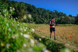 BIB: 
                            <button type="button" onclick="openModal(26582000)" class="btn btn-primary btn-sm float-right btn-popup" data-toggle="modal" data-target=".modal-high-quality">
                        <i class="fas fa-shopping-cart"></i> Add to Cart
                    </button>
                                            <button type="button" onclick="isThisMe(26582000, true)" class="btn btn-success btn-sm float-right btn-popup btn-isme hidden" data-toggle="tooltip" data-placement="bottom" title="นี่คือรูปของคุณใช่ไหม คลิกที่นี่เพื่อเอาเข้าอัลบั้ม">
                        <i class="fas fa-plus"></i> Add to album
                    </button>
                    <button type="button" onclick="isThisMe(26582000, false)" class="btn btn-warning btn-sm float-right btn-popup btn-isnotme hidden">
                        <i class="fas fa-ban"></i> Remove from album
                    </button>