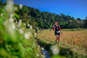 BIB: 
                            <button type="button" onclick="openModal(26572565)" class="btn btn-primary btn-sm float-right btn-popup" data-toggle="modal" data-target=".modal-high-quality">
                        <i class="fas fa-shopping-cart"></i> Add to Cart
                    </button>
                                            <button type="button" onclick="isThisMe(26572565, true)" class="btn btn-success btn-sm float-right btn-popup btn-isme hidden" data-toggle="tooltip" data-placement="bottom" title="นี่คือรูปของคุณใช่ไหม คลิกที่นี่เพื่อเอาเข้าอัลบั้ม">
                        <i class="fas fa-plus"></i> Add to album
                    </button>
                    <button type="button" onclick="isThisMe(26572565, false)" class="btn btn-warning btn-sm float-right btn-popup btn-isnotme hidden">
                        <i class="fas fa-ban"></i> Remove from album
                    </button>