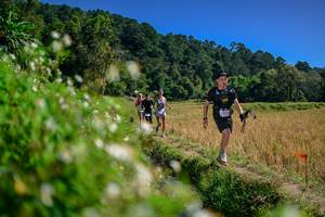 BIB: 
                            <button type="button" onclick="openModal(26582147)" class="btn btn-primary btn-sm float-right btn-popup" data-toggle="modal" data-target=".modal-high-quality">
                        <i class="fas fa-shopping-cart"></i> Add to Cart
                    </button>
                                            <button type="button" onclick="isThisMe(26582147, true)" class="btn btn-success btn-sm float-right btn-popup btn-isme hidden" data-toggle="tooltip" data-placement="bottom" title="นี่คือรูปของคุณใช่ไหม คลิกที่นี่เพื่อเอาเข้าอัลบั้ม">
                        <i class="fas fa-plus"></i> Add to album
                    </button>
                    <button type="button" onclick="isThisMe(26582147, false)" class="btn btn-warning btn-sm float-right btn-popup btn-isnotme hidden">
                        <i class="fas fa-ban"></i> Remove from album
                    </button>