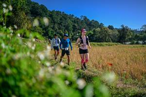 BIB: 
                            <button type="button" onclick="openModal(26581479)" class="btn btn-primary btn-sm float-right btn-popup" data-toggle="modal" data-target=".modal-high-quality">
                        <i class="fas fa-shopping-cart"></i> Add to Cart
                    </button>
                                            <button type="button" onclick="isThisMe(26581479, true)" class="btn btn-success btn-sm float-right btn-popup btn-isme hidden" data-toggle="tooltip" data-placement="bottom" title="นี่คือรูปของคุณใช่ไหม คลิกที่นี่เพื่อเอาเข้าอัลบั้ม">
                        <i class="fas fa-plus"></i> Add to album
                    </button>
                    <button type="button" onclick="isThisMe(26581479, false)" class="btn btn-warning btn-sm float-right btn-popup btn-isnotme hidden">
                        <i class="fas fa-ban"></i> Remove from album
                    </button>