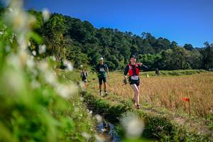 BIB: 
                            <button type="button" onclick="openModal(26575287)" class="btn btn-primary btn-sm float-right btn-popup" data-toggle="modal" data-target=".modal-high-quality">
                        <i class="fas fa-shopping-cart"></i> Add to Cart
                    </button>
                                            <button type="button" onclick="isThisMe(26575287, true)" class="btn btn-success btn-sm float-right btn-popup btn-isme hidden" data-toggle="tooltip" data-placement="bottom" title="นี่คือรูปของคุณใช่ไหม คลิกที่นี่เพื่อเอาเข้าอัลบั้ม">
                        <i class="fas fa-plus"></i> Add to album
                    </button>
                    <button type="button" onclick="isThisMe(26575287, false)" class="btn btn-warning btn-sm float-right btn-popup btn-isnotme hidden">
                        <i class="fas fa-ban"></i> Remove from album
                    </button>