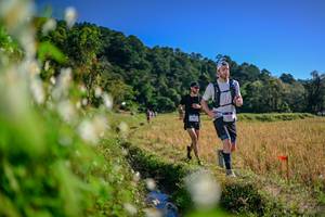 BIB: 
                            <button type="button" onclick="openModal(26573205)" class="btn btn-primary btn-sm float-right btn-popup" data-toggle="modal" data-target=".modal-high-quality">
                        <i class="fas fa-shopping-cart"></i> Add to Cart
                    </button>
                                            <button type="button" onclick="isThisMe(26573205, true)" class="btn btn-success btn-sm float-right btn-popup btn-isme hidden" data-toggle="tooltip" data-placement="bottom" title="นี่คือรูปของคุณใช่ไหม คลิกที่นี่เพื่อเอาเข้าอัลบั้ม">
                        <i class="fas fa-plus"></i> Add to album
                    </button>
                    <button type="button" onclick="isThisMe(26573205, false)" class="btn btn-warning btn-sm float-right btn-popup btn-isnotme hidden">
                        <i class="fas fa-ban"></i> Remove from album
                    </button>