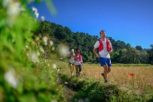 BIB: 
                            <button type="button" onclick="openModal(26580437)" class="btn btn-primary btn-sm float-right btn-popup" data-toggle="modal" data-target=".modal-high-quality">
                        <i class="fas fa-shopping-cart"></i> Add to Cart
                    </button>
                                            <button type="button" onclick="isThisMe(26580437, true)" class="btn btn-success btn-sm float-right btn-popup btn-isme hidden" data-toggle="tooltip" data-placement="bottom" title="นี่คือรูปของคุณใช่ไหม คลิกที่นี่เพื่อเอาเข้าอัลบั้ม">
                        <i class="fas fa-plus"></i> Add to album
                    </button>
                    <button type="button" onclick="isThisMe(26580437, false)" class="btn btn-warning btn-sm float-right btn-popup btn-isnotme hidden">
                        <i class="fas fa-ban"></i> Remove from album
                    </button>