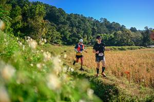 BIB: 
                            <button type="button" onclick="openModal(26570689)" class="btn btn-primary btn-sm float-right btn-popup" data-toggle="modal" data-target=".modal-high-quality">
                        <i class="fas fa-shopping-cart"></i> Add to Cart
                    </button>
                                            <button type="button" onclick="isThisMe(26570689, true)" class="btn btn-success btn-sm float-right btn-popup btn-isme hidden" data-toggle="tooltip" data-placement="bottom" title="นี่คือรูปของคุณใช่ไหม คลิกที่นี่เพื่อเอาเข้าอัลบั้ม">
                        <i class="fas fa-plus"></i> Add to album
                    </button>
                    <button type="button" onclick="isThisMe(26570689, false)" class="btn btn-warning btn-sm float-right btn-popup btn-isnotme hidden">
                        <i class="fas fa-ban"></i> Remove from album
                    </button>