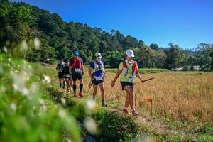 BIB: 
                            <button type="button" onclick="openModal(26579620)" class="btn btn-primary btn-sm float-right btn-popup" data-toggle="modal" data-target=".modal-high-quality">
                        <i class="fas fa-shopping-cart"></i> Add to Cart
                    </button>
                                            <button type="button" onclick="isThisMe(26579620, true)" class="btn btn-success btn-sm float-right btn-popup btn-isme hidden" data-toggle="tooltip" data-placement="bottom" title="นี่คือรูปของคุณใช่ไหม คลิกที่นี่เพื่อเอาเข้าอัลบั้ม">
                        <i class="fas fa-plus"></i> Add to album
                    </button>
                    <button type="button" onclick="isThisMe(26579620, false)" class="btn btn-warning btn-sm float-right btn-popup btn-isnotme hidden">
                        <i class="fas fa-ban"></i> Remove from album
                    </button>