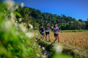 BIB: 
                            <button type="button" onclick="openModal(26574476)" class="btn btn-primary btn-sm float-right btn-popup" data-toggle="modal" data-target=".modal-high-quality">
                        <i class="fas fa-shopping-cart"></i> Add to Cart
                    </button>
                                            <button type="button" onclick="isThisMe(26574476, true)" class="btn btn-success btn-sm float-right btn-popup btn-isme hidden" data-toggle="tooltip" data-placement="bottom" title="นี่คือรูปของคุณใช่ไหม คลิกที่นี่เพื่อเอาเข้าอัลบั้ม">
                        <i class="fas fa-plus"></i> Add to album
                    </button>
                    <button type="button" onclick="isThisMe(26574476, false)" class="btn btn-warning btn-sm float-right btn-popup btn-isnotme hidden">
                        <i class="fas fa-ban"></i> Remove from album
                    </button>