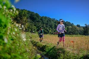 BIB: 
                            <button type="button" onclick="openModal(26580638)" class="btn btn-primary btn-sm float-right btn-popup" data-toggle="modal" data-target=".modal-high-quality">
                        <i class="fas fa-shopping-cart"></i> Add to Cart
                    </button>
                                            <button type="button" onclick="isThisMe(26580638, true)" class="btn btn-success btn-sm float-right btn-popup btn-isme hidden" data-toggle="tooltip" data-placement="bottom" title="นี่คือรูปของคุณใช่ไหม คลิกที่นี่เพื่อเอาเข้าอัลบั้ม">
                        <i class="fas fa-plus"></i> Add to album
                    </button>
                    <button type="button" onclick="isThisMe(26580638, false)" class="btn btn-warning btn-sm float-right btn-popup btn-isnotme hidden">
                        <i class="fas fa-ban"></i> Remove from album
                    </button>