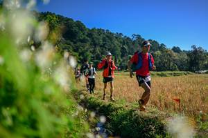 BIB: 
                            <button type="button" onclick="openModal(26572198)" class="btn btn-primary btn-sm float-right btn-popup" data-toggle="modal" data-target=".modal-high-quality">
                        <i class="fas fa-shopping-cart"></i> Add to Cart
                    </button>
                                            <button type="button" onclick="isThisMe(26572198, true)" class="btn btn-success btn-sm float-right btn-popup btn-isme hidden" data-toggle="tooltip" data-placement="bottom" title="นี่คือรูปของคุณใช่ไหม คลิกที่นี่เพื่อเอาเข้าอัลบั้ม">
                        <i class="fas fa-plus"></i> Add to album
                    </button>
                    <button type="button" onclick="isThisMe(26572198, false)" class="btn btn-warning btn-sm float-right btn-popup btn-isnotme hidden">
                        <i class="fas fa-ban"></i> Remove from album
                    </button>