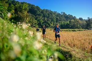 BIB: 
                            <button type="button" onclick="openModal(26570557)" class="btn btn-primary btn-sm float-right btn-popup" data-toggle="modal" data-target=".modal-high-quality">
                        <i class="fas fa-shopping-cart"></i> Add to Cart
                    </button>
                                            <button type="button" onclick="isThisMe(26570557, true)" class="btn btn-success btn-sm float-right btn-popup btn-isme hidden" data-toggle="tooltip" data-placement="bottom" title="นี่คือรูปของคุณใช่ไหม คลิกที่นี่เพื่อเอาเข้าอัลบั้ม">
                        <i class="fas fa-plus"></i> Add to album
                    </button>
                    <button type="button" onclick="isThisMe(26570557, false)" class="btn btn-warning btn-sm float-right btn-popup btn-isnotme hidden">
                        <i class="fas fa-ban"></i> Remove from album
                    </button>