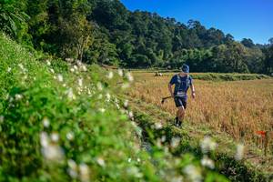 BIB: 
                            <button type="button" onclick="openModal(26571306)" class="btn btn-primary btn-sm float-right btn-popup" data-toggle="modal" data-target=".modal-high-quality">
                        <i class="fas fa-shopping-cart"></i> Add to Cart
                    </button>
                                            <button type="button" onclick="isThisMe(26571306, true)" class="btn btn-success btn-sm float-right btn-popup btn-isme hidden" data-toggle="tooltip" data-placement="bottom" title="นี่คือรูปของคุณใช่ไหม คลิกที่นี่เพื่อเอาเข้าอัลบั้ม">
                        <i class="fas fa-plus"></i> Add to album
                    </button>
                    <button type="button" onclick="isThisMe(26571306, false)" class="btn btn-warning btn-sm float-right btn-popup btn-isnotme hidden">
                        <i class="fas fa-ban"></i> Remove from album
                    </button>