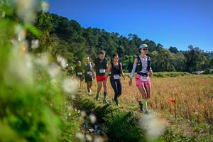 BIB: 
                            <button type="button" onclick="openModal(26574111)" class="btn btn-primary btn-sm float-right btn-popup" data-toggle="modal" data-target=".modal-high-quality">
                        <i class="fas fa-shopping-cart"></i> Add to Cart
                    </button>
                                            <button type="button" onclick="isThisMe(26574111, true)" class="btn btn-success btn-sm float-right btn-popup btn-isme hidden" data-toggle="tooltip" data-placement="bottom" title="นี่คือรูปของคุณใช่ไหม คลิกที่นี่เพื่อเอาเข้าอัลบั้ม">
                        <i class="fas fa-plus"></i> Add to album
                    </button>
                    <button type="button" onclick="isThisMe(26574111, false)" class="btn btn-warning btn-sm float-right btn-popup btn-isnotme hidden">
                        <i class="fas fa-ban"></i> Remove from album
                    </button>