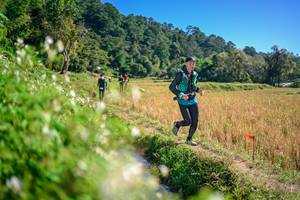 BIB: 
                            <button type="button" onclick="openModal(26576388)" class="btn btn-primary btn-sm float-right btn-popup" data-toggle="modal" data-target=".modal-high-quality">
                        <i class="fas fa-shopping-cart"></i> Add to Cart
                    </button>
                                            <button type="button" onclick="isThisMe(26576388, true)" class="btn btn-success btn-sm float-right btn-popup btn-isme hidden" data-toggle="tooltip" data-placement="bottom" title="นี่คือรูปของคุณใช่ไหม คลิกที่นี่เพื่อเอาเข้าอัลบั้ม">
                        <i class="fas fa-plus"></i> Add to album
                    </button>
                    <button type="button" onclick="isThisMe(26576388, false)" class="btn btn-warning btn-sm float-right btn-popup btn-isnotme hidden">
                        <i class="fas fa-ban"></i> Remove from album
                    </button>